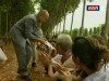 2012-05-14 : TVK His Majesty Norodom Sihamoni Yearly Activities