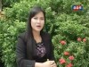 2015-09-05 : TVK Arun Soursdey Morning Show
