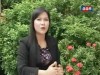 2015-09-26 : TVK Arun Soursdey Morning Show