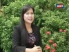 2015-11-14 : TVK Arun Soursdey Morning Show